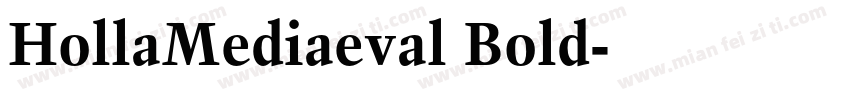 HollaMediaeval Bold字体转换